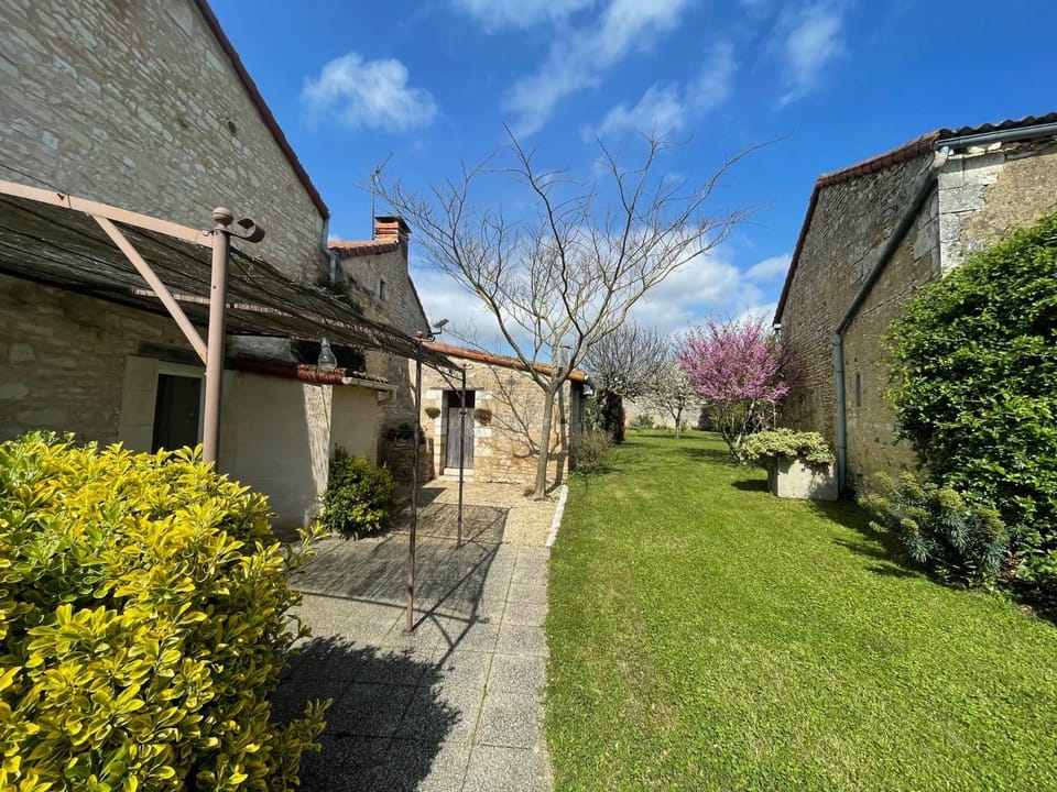 Patio, Garden