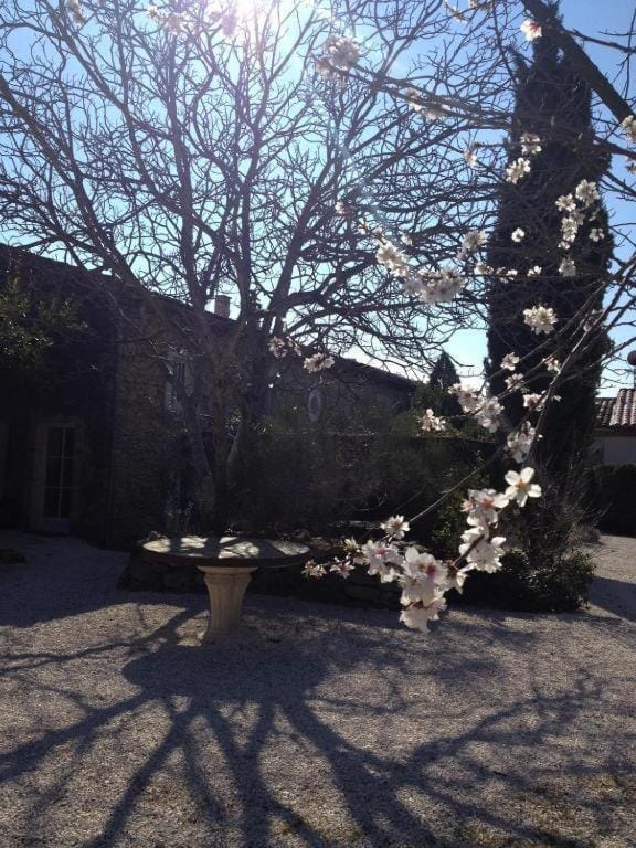 Au Fil de Soi Bed and Breakfast in Occitanie