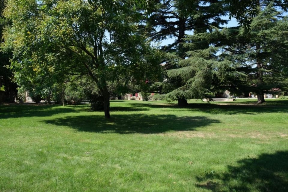 Patio, Garden, Garden view