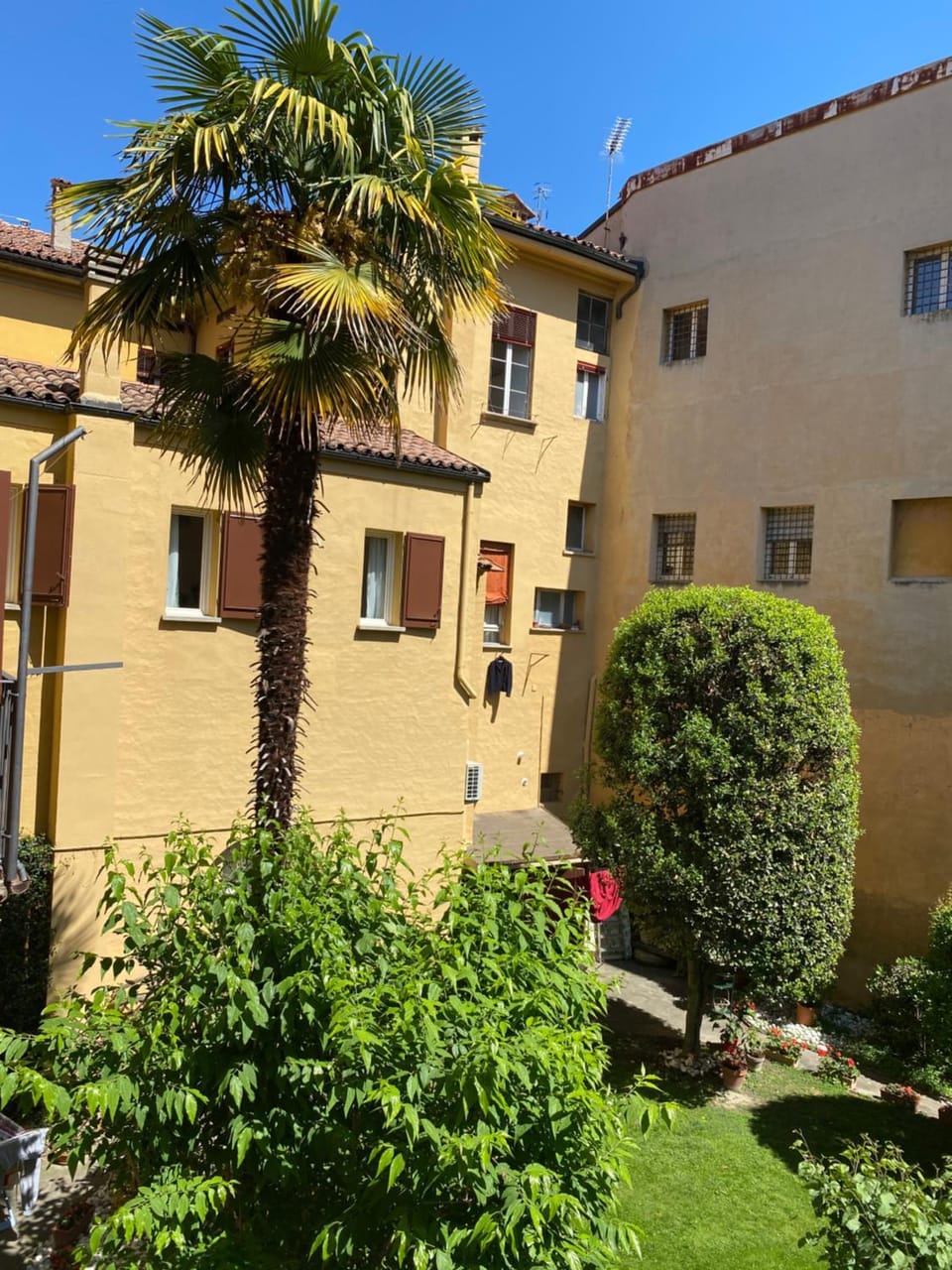 Garden view