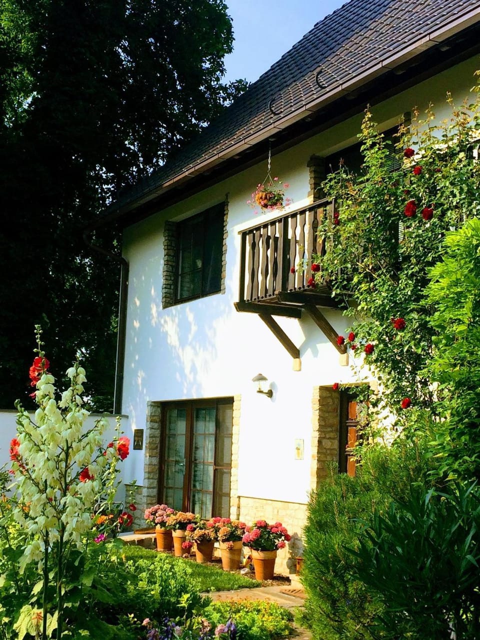 Property building, Facade/entrance, Garden