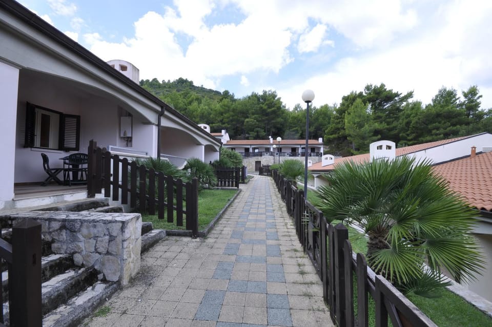 Day, Natural landscape, Garden, Garden view