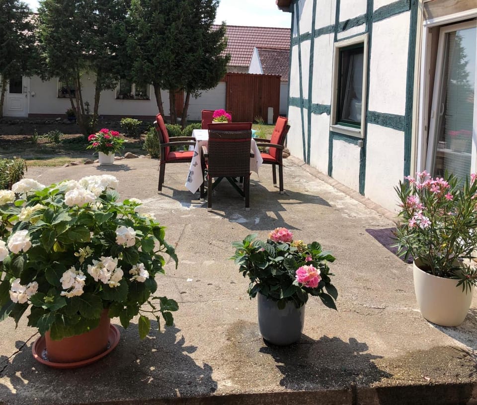 Property building, BBQ facilities