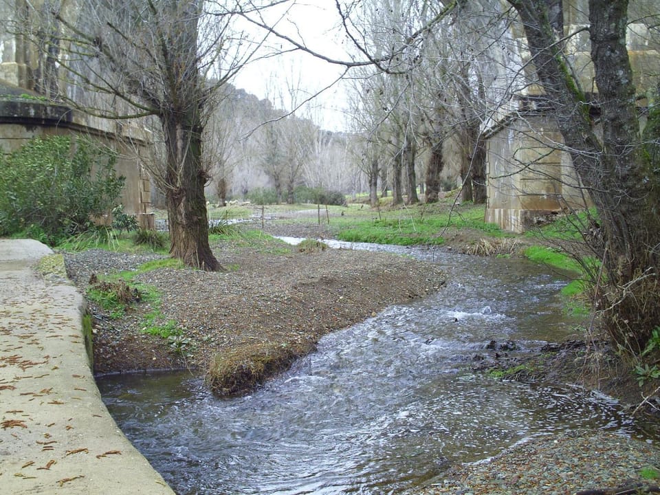 Natural landscape