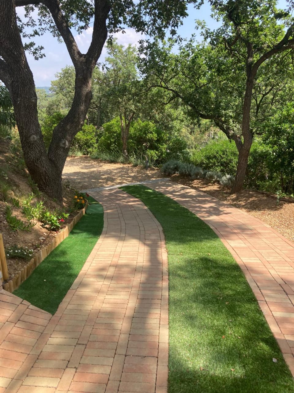 Garden view