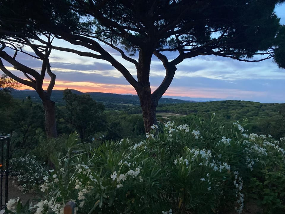 View (from property/room)