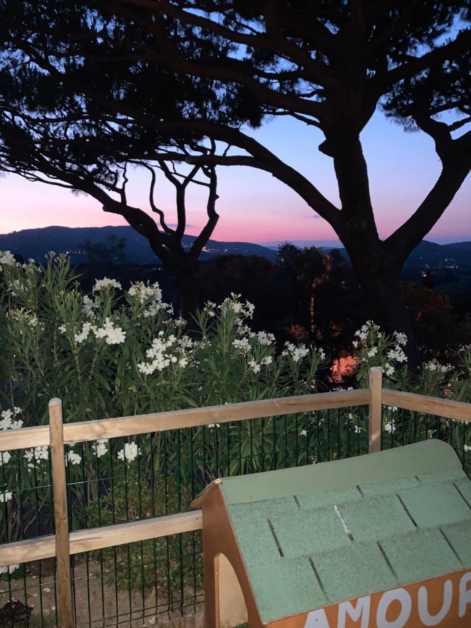 View (from property/room)