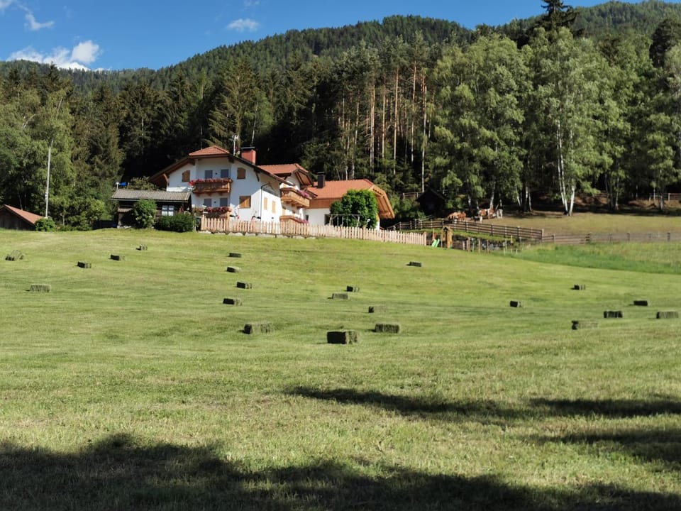 Property building, Natural landscape, Garden