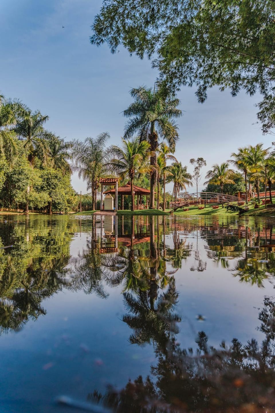 Lake view