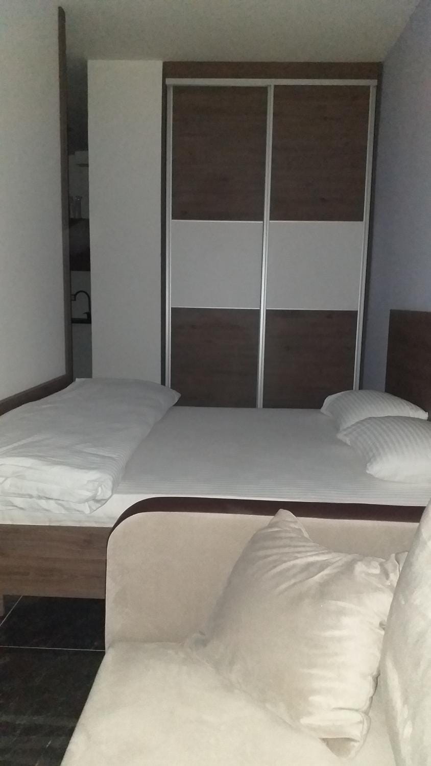 Dream House Apartment in Serbia