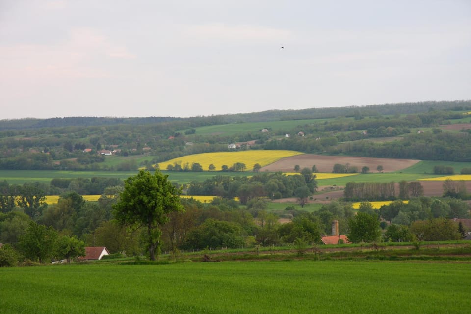 Natural landscape
