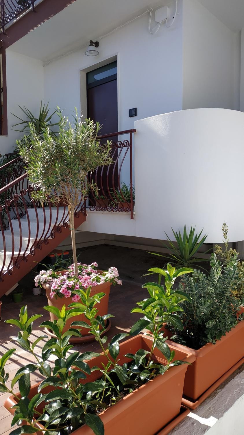 Property building, Facade/entrance, Garden, View (from property/room), Garden view