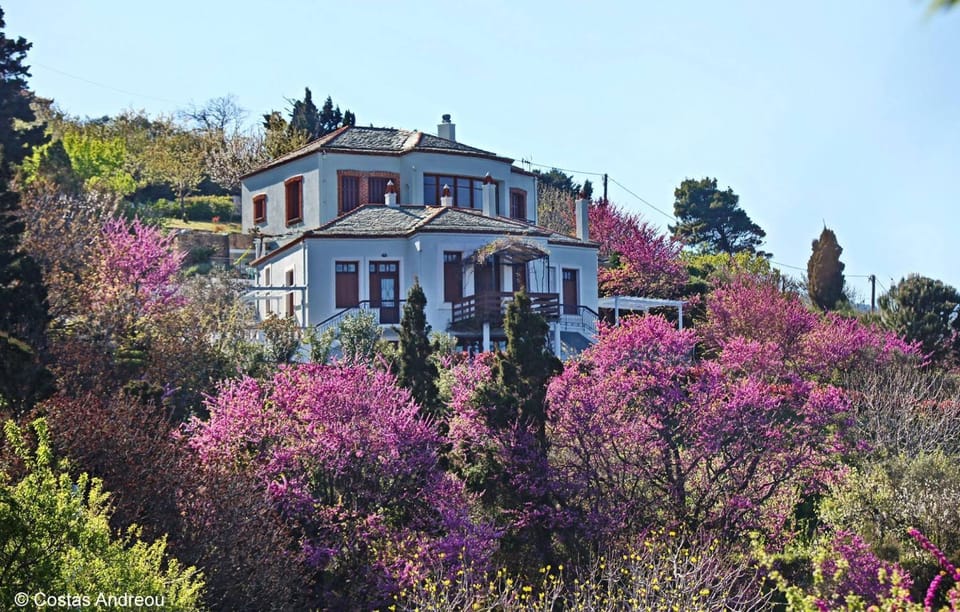 Property building, Spring, Natural landscape