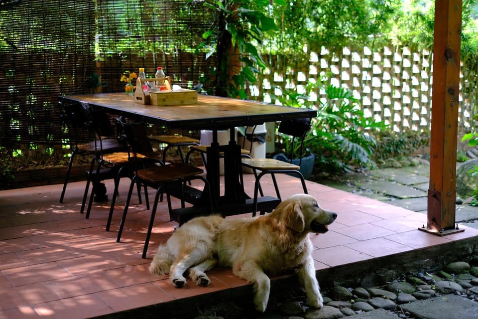 Blue Lagoon Cat Ba Hotel in Laos