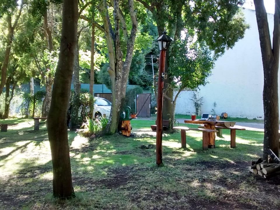 BBQ facilities, Garden