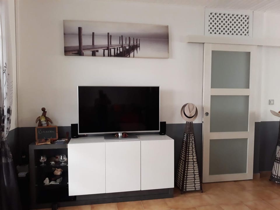 Communal lounge/ TV room, TV and multimedia