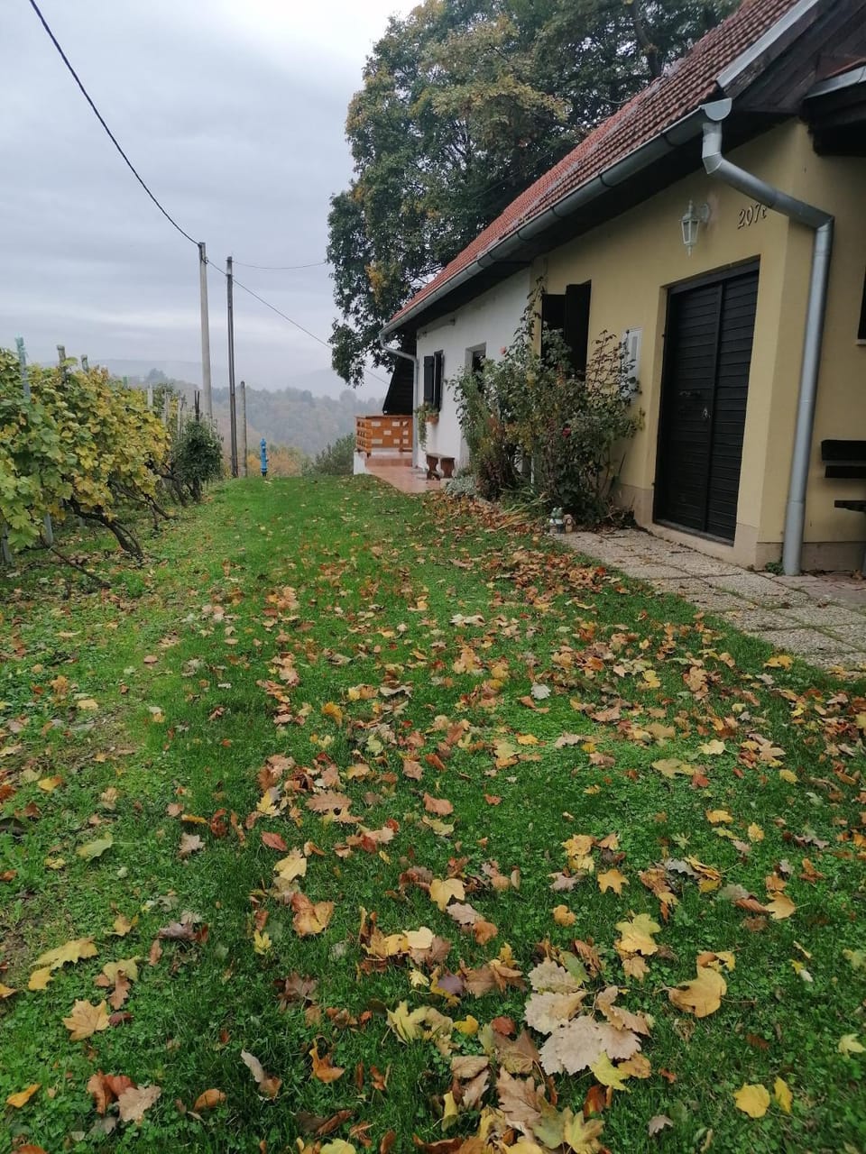 Autumn