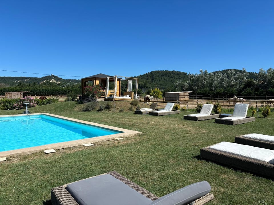 Garden, Pool view, Swimming pool