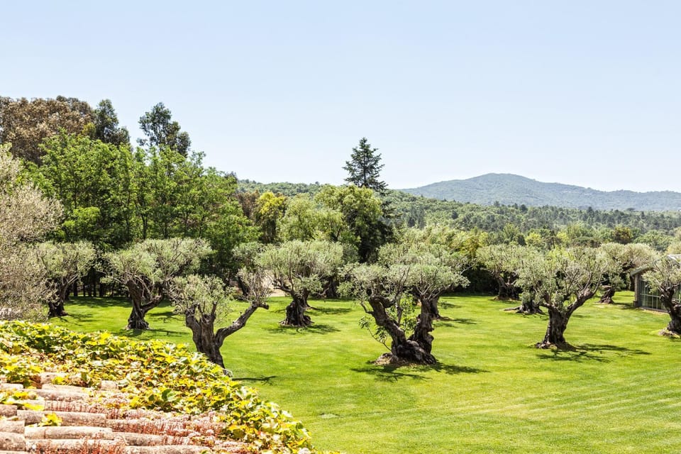 Natural landscape, Garden, Garden view