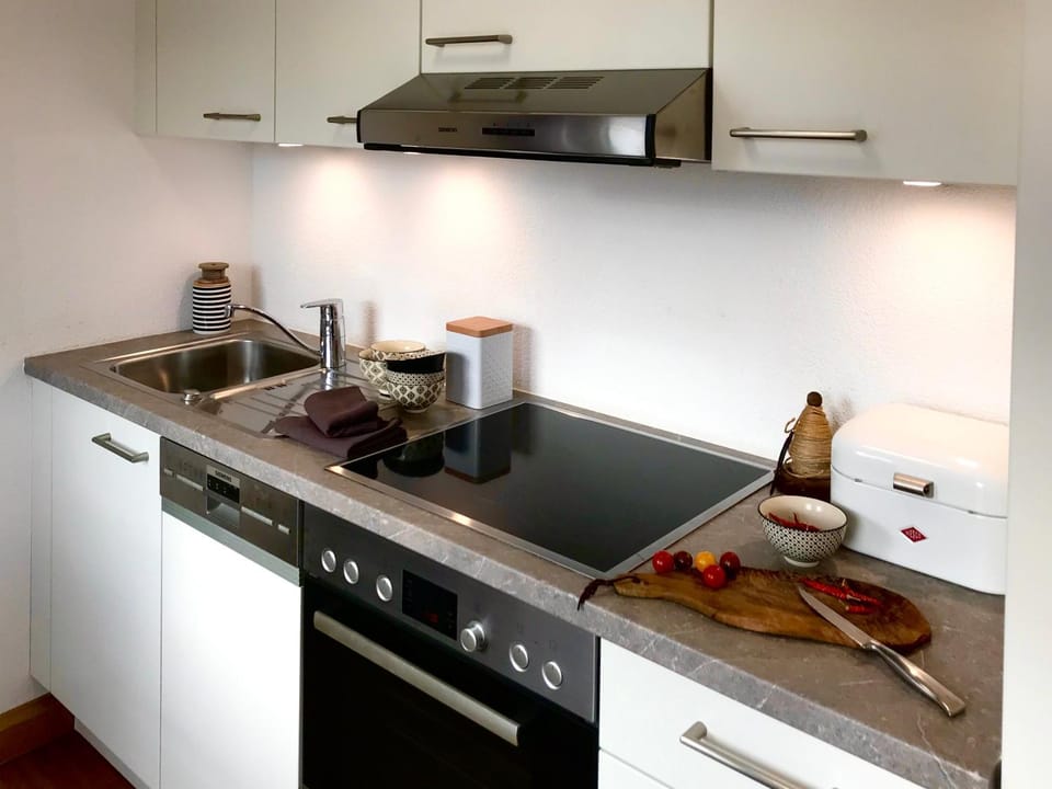 Kitchen or kitchenette, dishwasher, stove