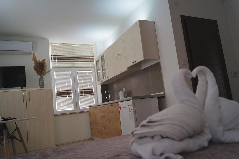 Bed, TV and multimedia, Kitchen or kitchenette, Photo of the whole room, Bedroom, towels, wardrobe, air conditioner