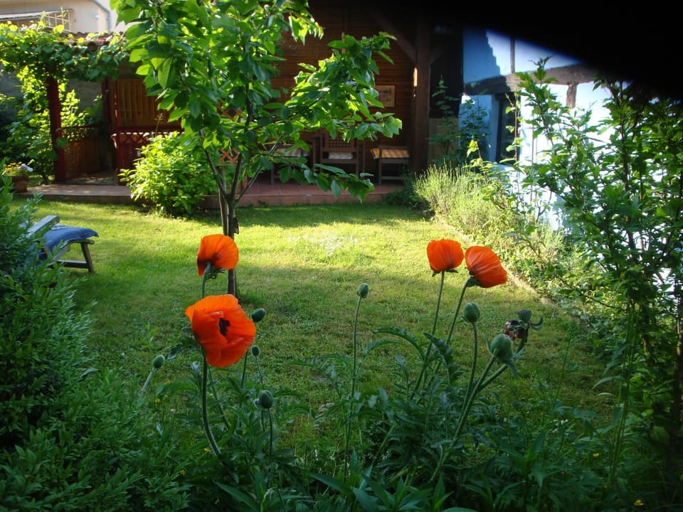 Apartement de vacances Alsace - Ferienwohnung Elsaß - Holiday apartment Alsace Apartment in Grand Est
