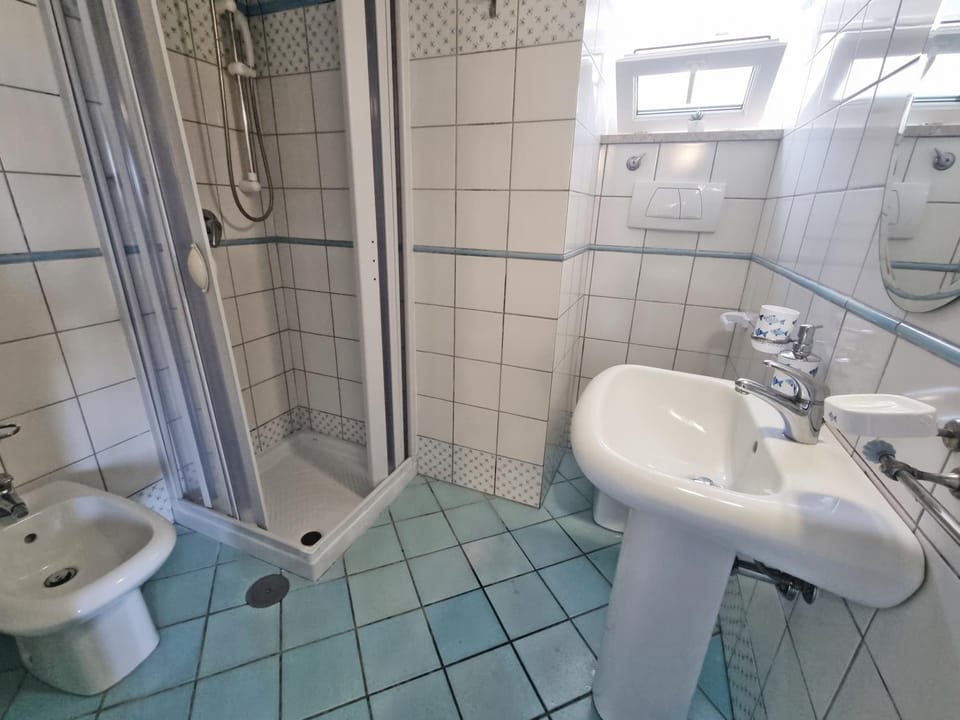 Shower, Toilet, Bathroom, bidet