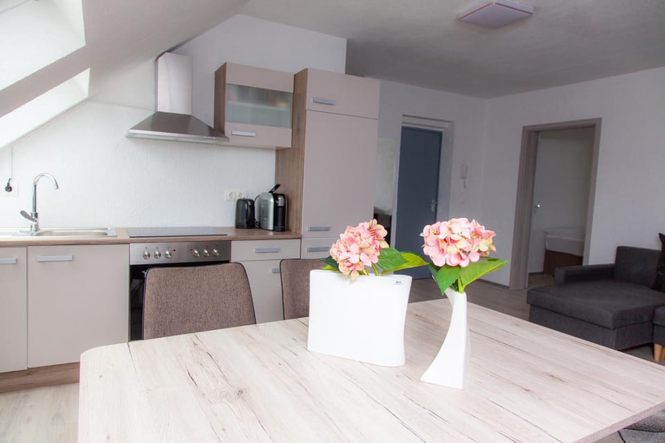 Kitchen or kitchenette, Living room, Seating area, Dining area, stove