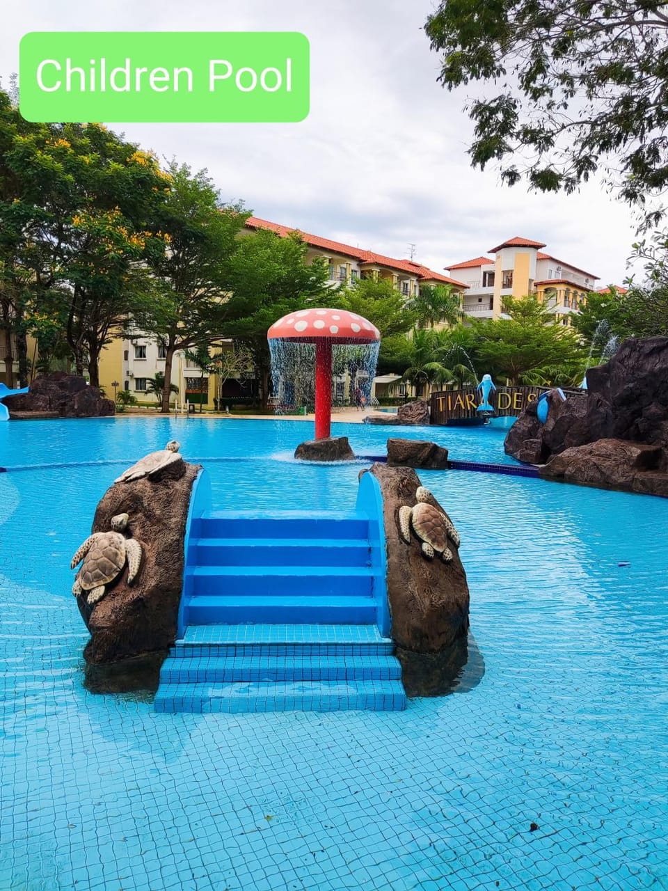 Swimming pool