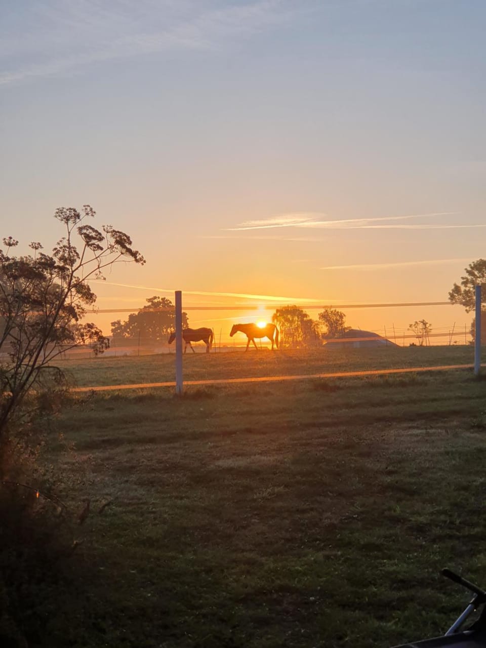 Sunrise