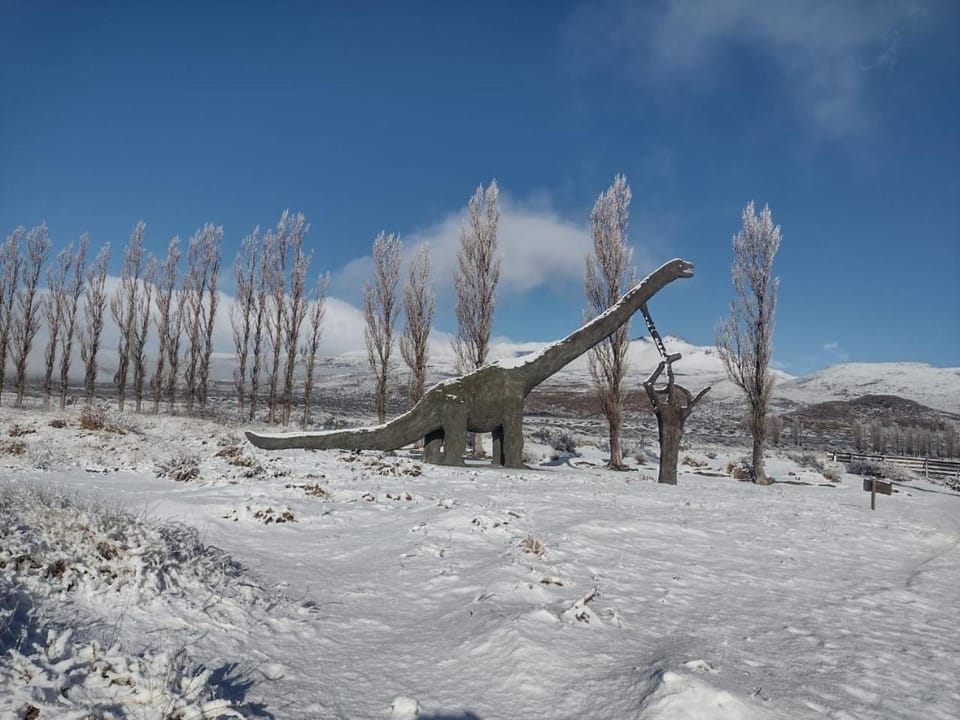 Descanso cordillerano llano blanco Nature lodge in Mendoza Province Province