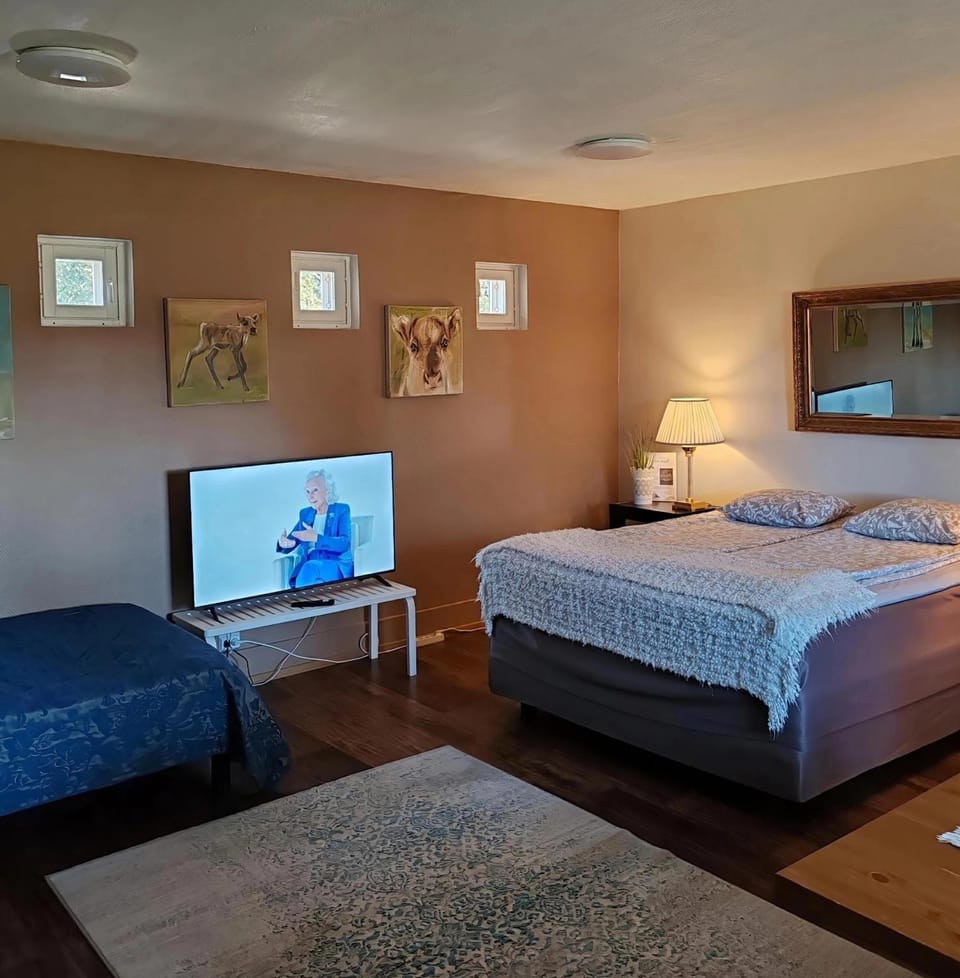 Bed, TV and multimedia, Bedroom