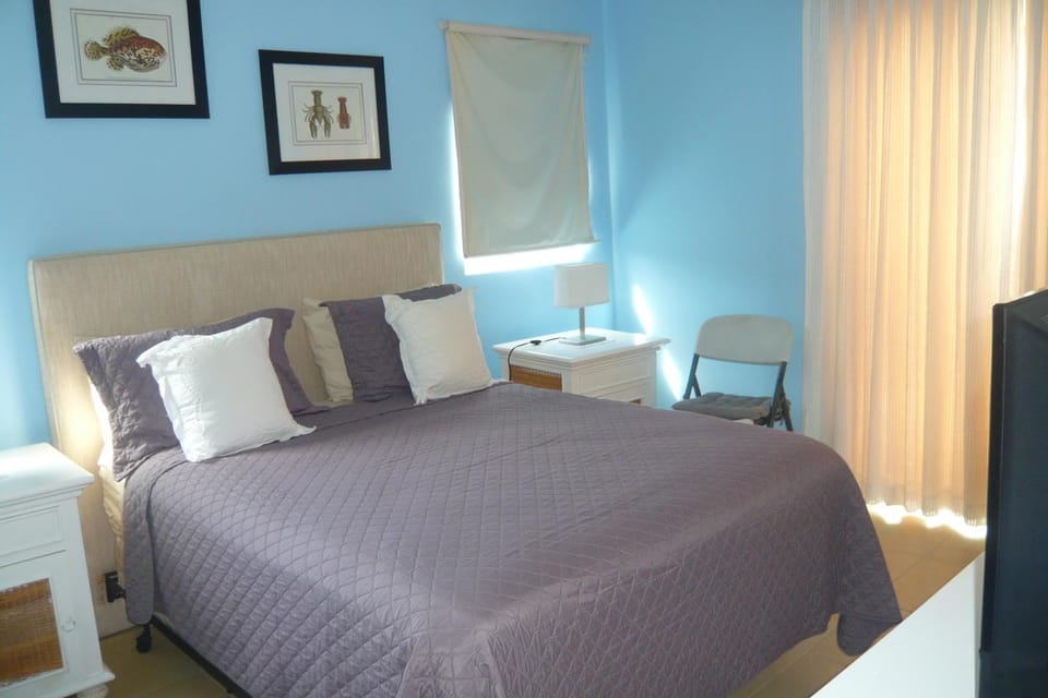 The blue lagoon of the Caribbean Sea. Velero 205.Cadaques Caribe Apartment in Dominicus