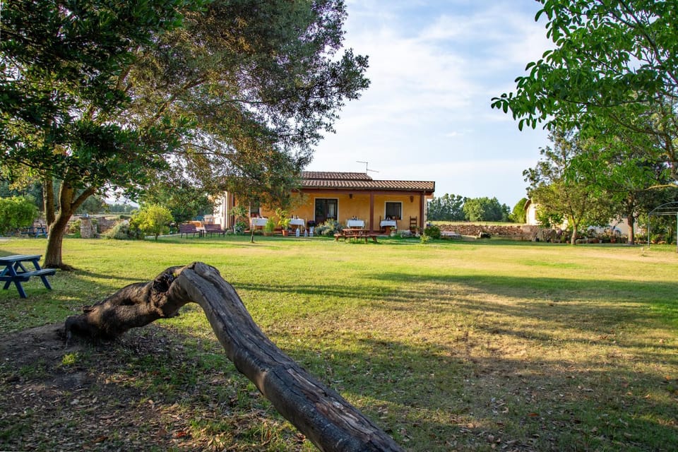 Property building, Restaurant/places to eat, Day, Natural landscape, Garden, Garden view, Breakfast