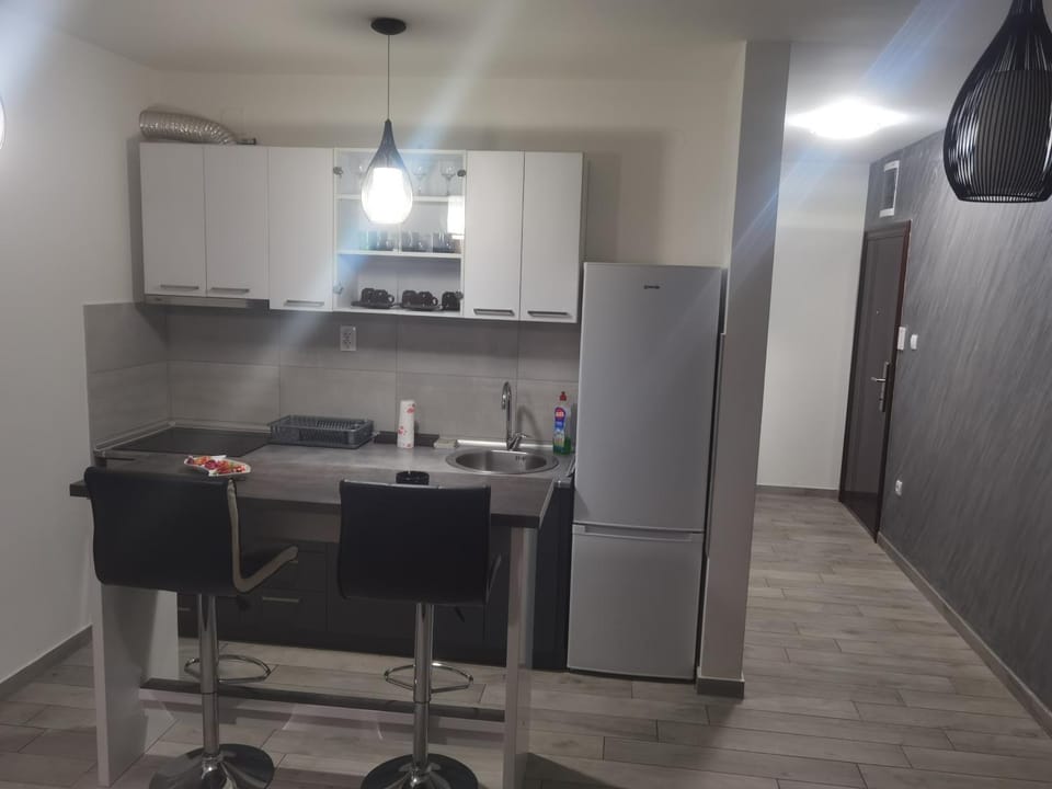 DANICA Apartment in Vojvodina