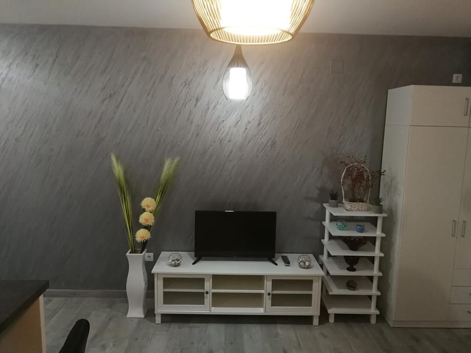 DANICA Apartment in Vojvodina