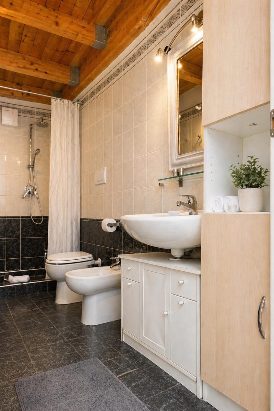 Bathroom, bidet, hair dryier