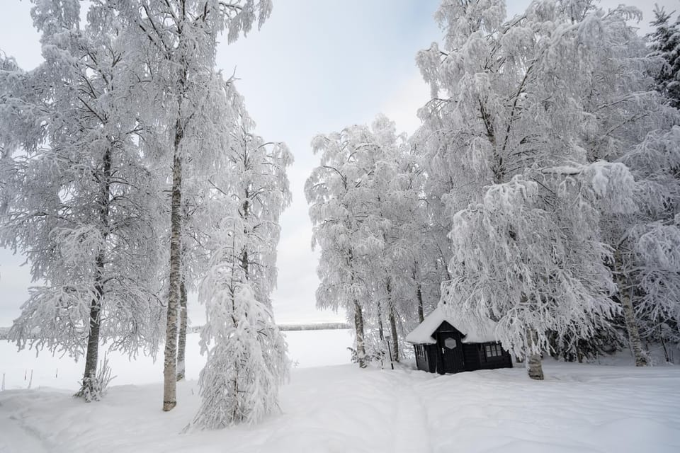 Winter, Lake view