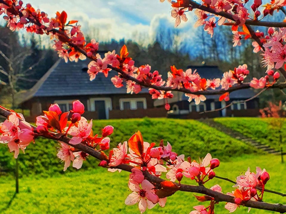 Nearby landmark, Spring, Natural landscape, Garden, Landmark view