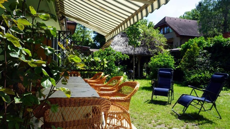 Patio, Spring, Day, Garden, sunbed