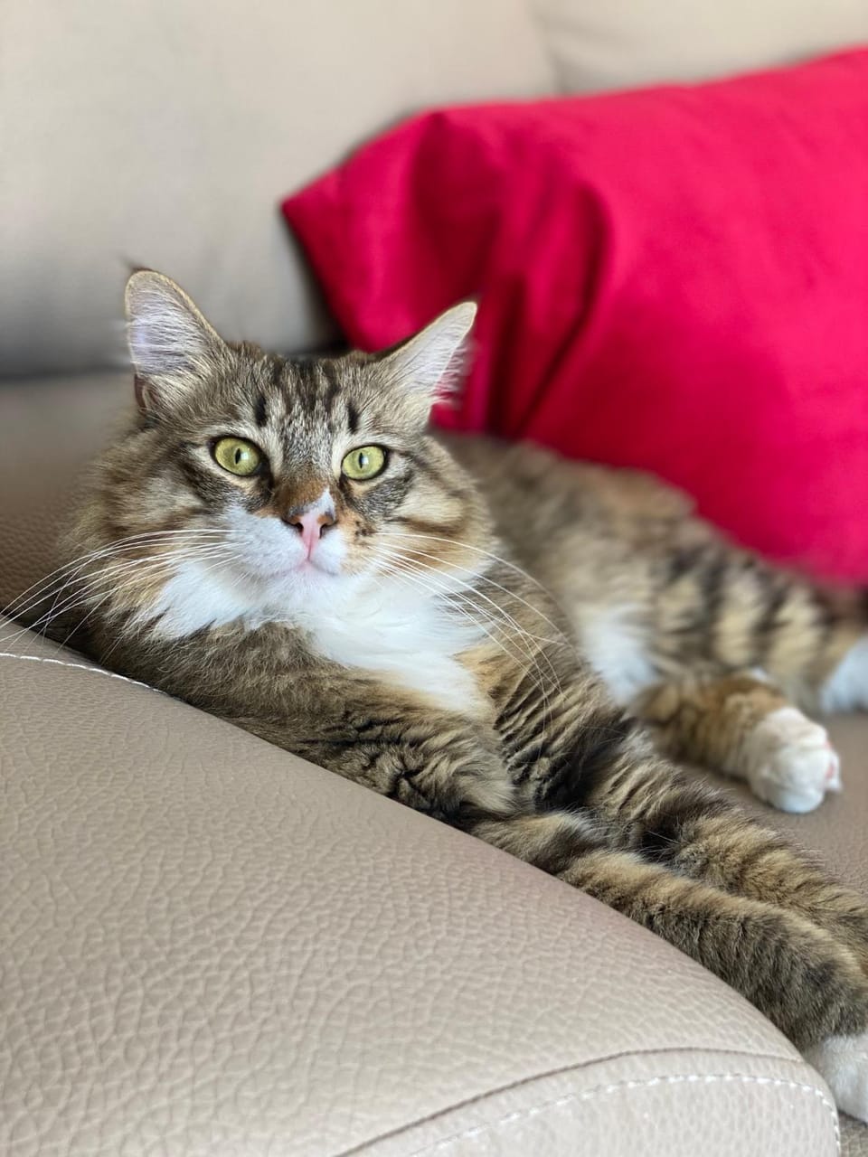 Casa Renato Apartment in Grosseto