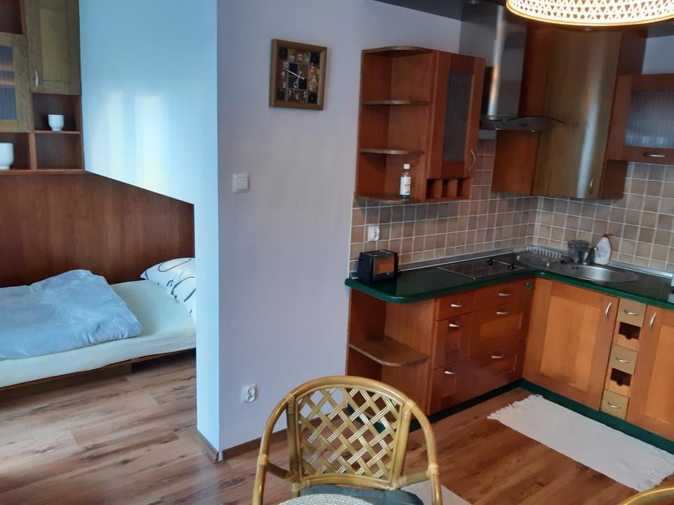 Kitchen or kitchenette, Bedroom