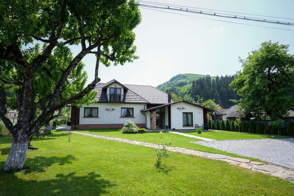 Chalet Bora Bed and Breakfast in Romania