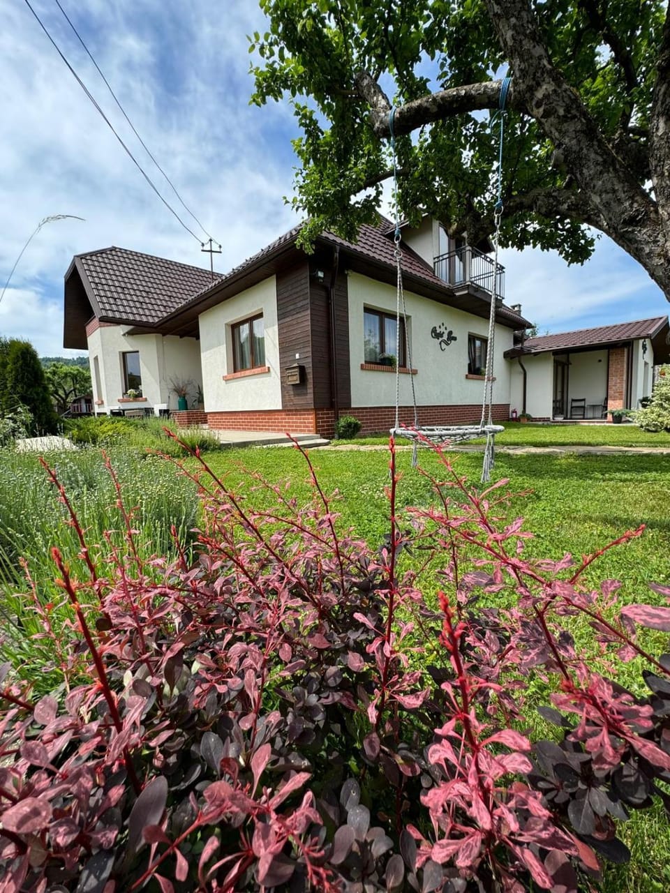 Chalet Bora Bed and Breakfast in Romania