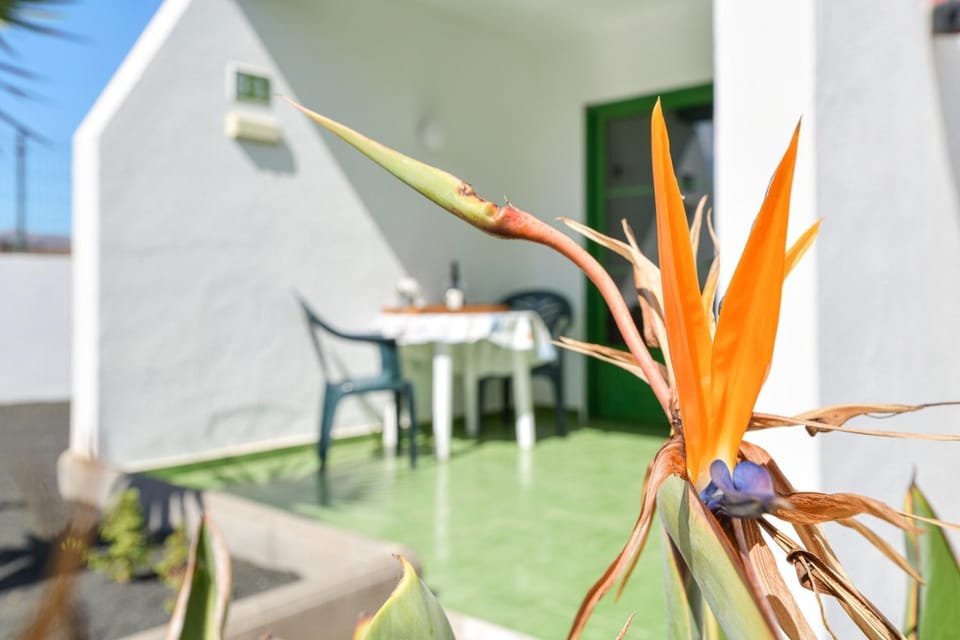 Property building, Balcony/Terrace