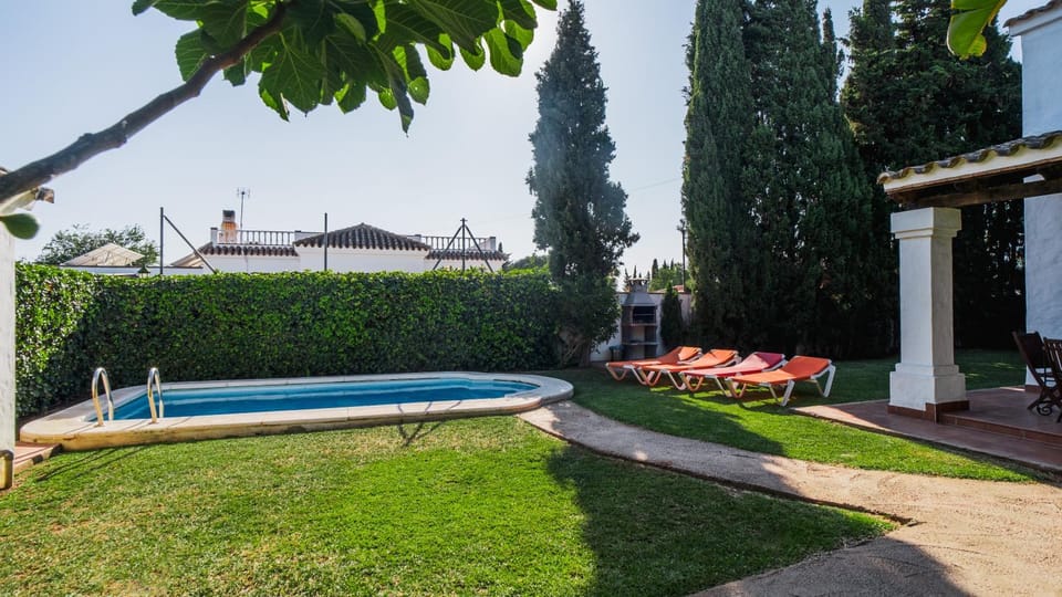 Patio, Spring, Day, Garden, Garden view, Pool view, sunbed