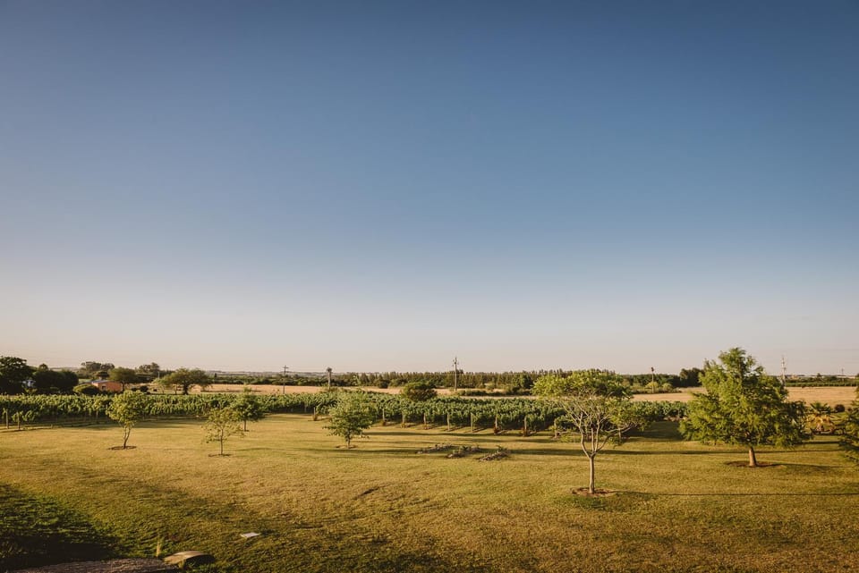 Natural landscape
