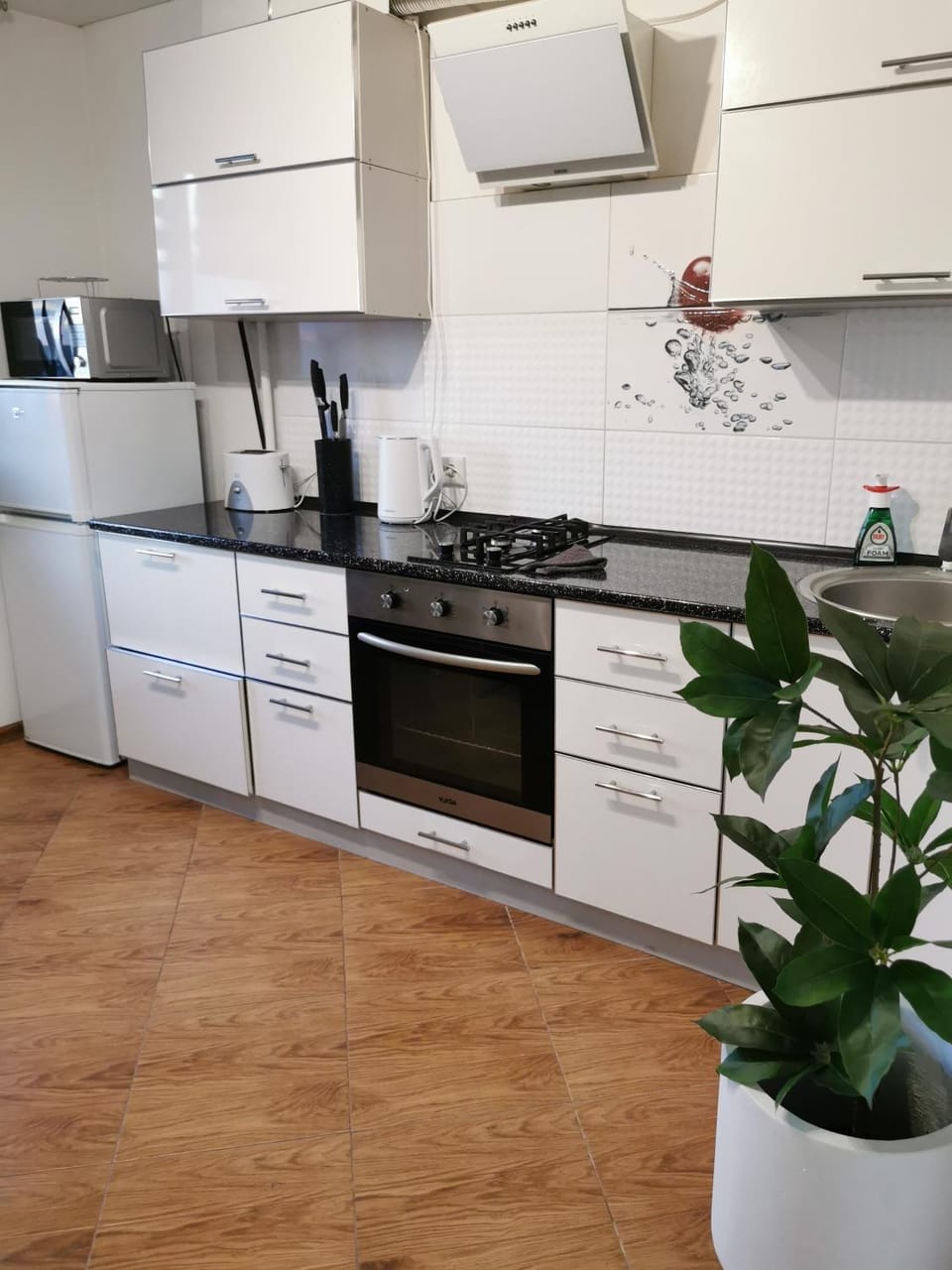 Studio Apartment in the center Apartment in Ukraine