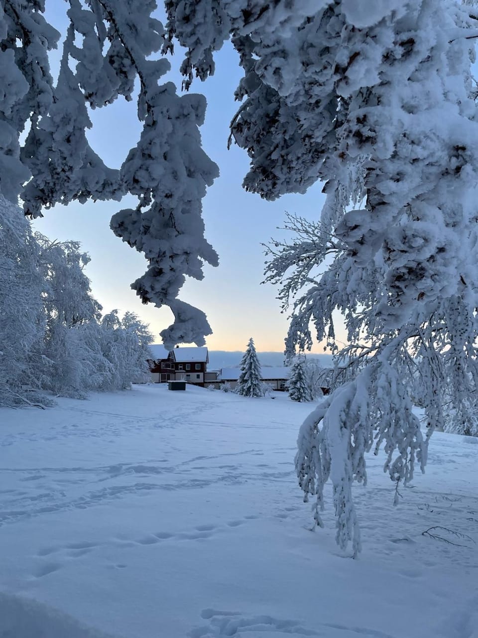 Natural landscape, Winter