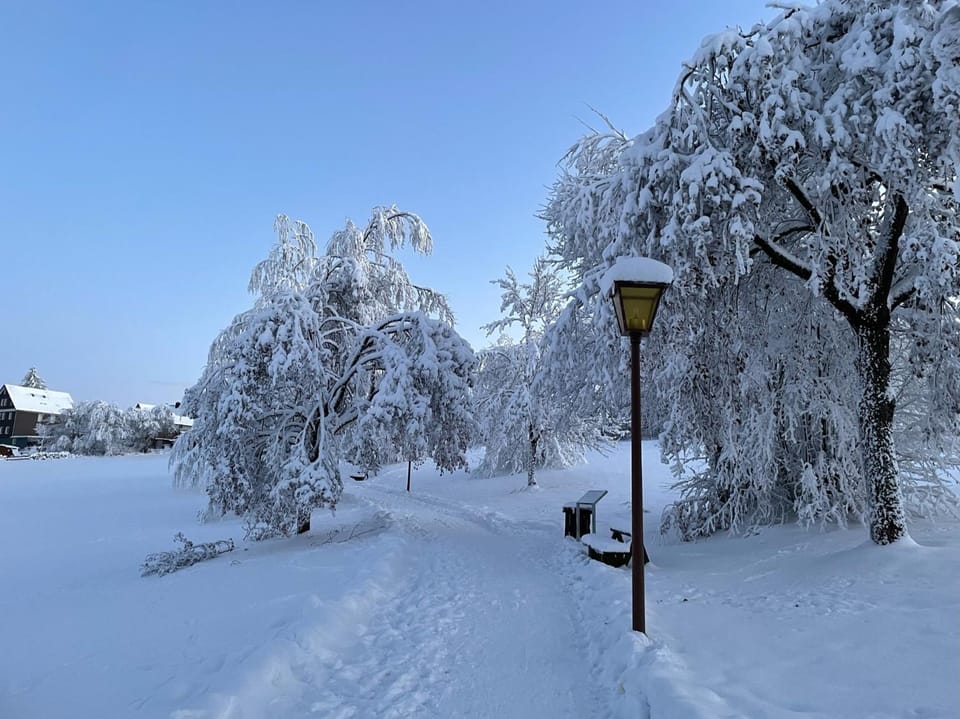 Natural landscape, Winter